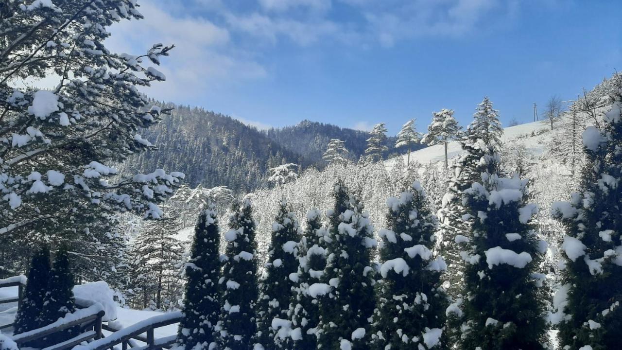 Apartman Suncana Dolina, Zaovine Esterno foto