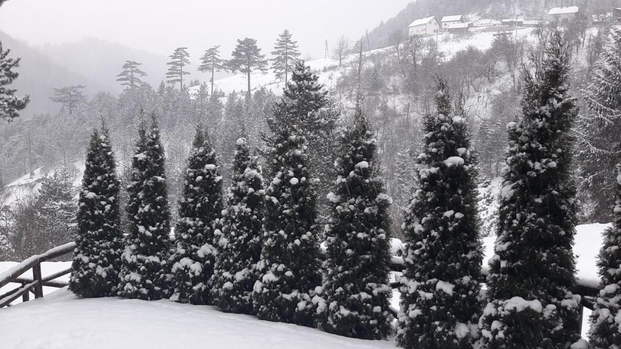 Apartman Suncana Dolina, Zaovine Esterno foto